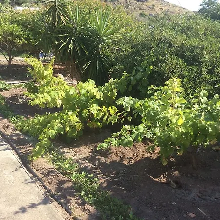 Lägenhetshotell Nicolas