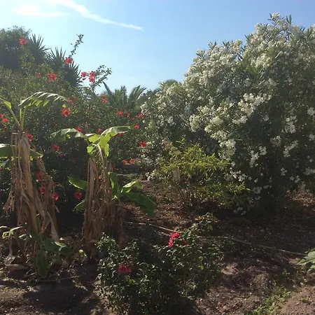 Lägenhetshotell Nicolas