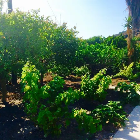 Lägenhetshotell Nicolas Skala