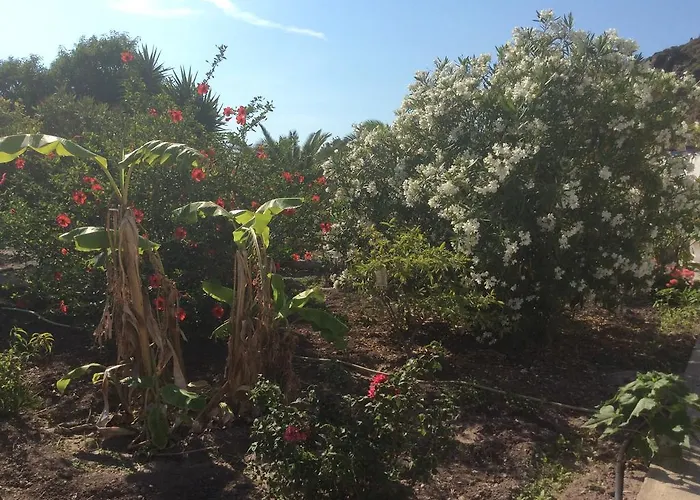 公寓式酒店 尼古拉斯公寓