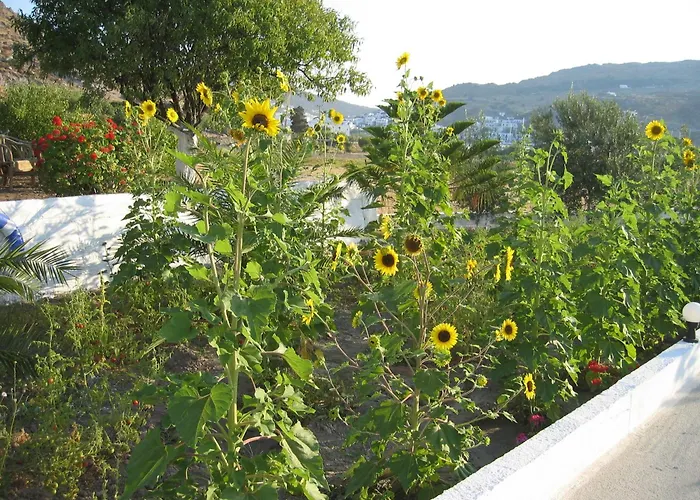 尼古拉斯公寓 3* 斯科拉